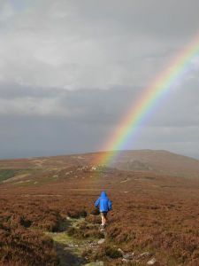 The end of the rainbow