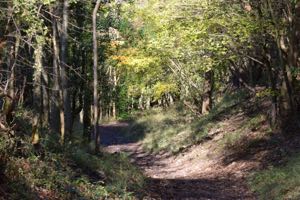 Ashridge Estate